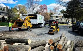 Best Utility Line Clearance  in Avenel, NJ